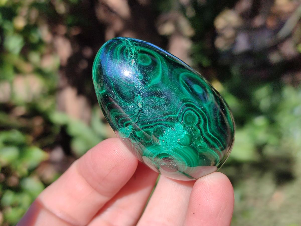 Polished Flower Banded Malachite Gemstone Eggs x 6 From Congo - Toprock Gemstones and Minerals 