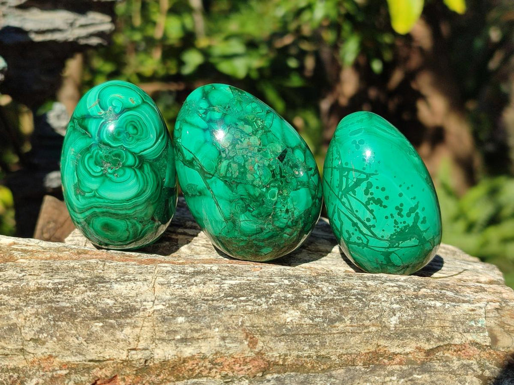 Polished Flower Banded Malachite Gemstone Eggs x 6 From Congo - Toprock Gemstones and Minerals 