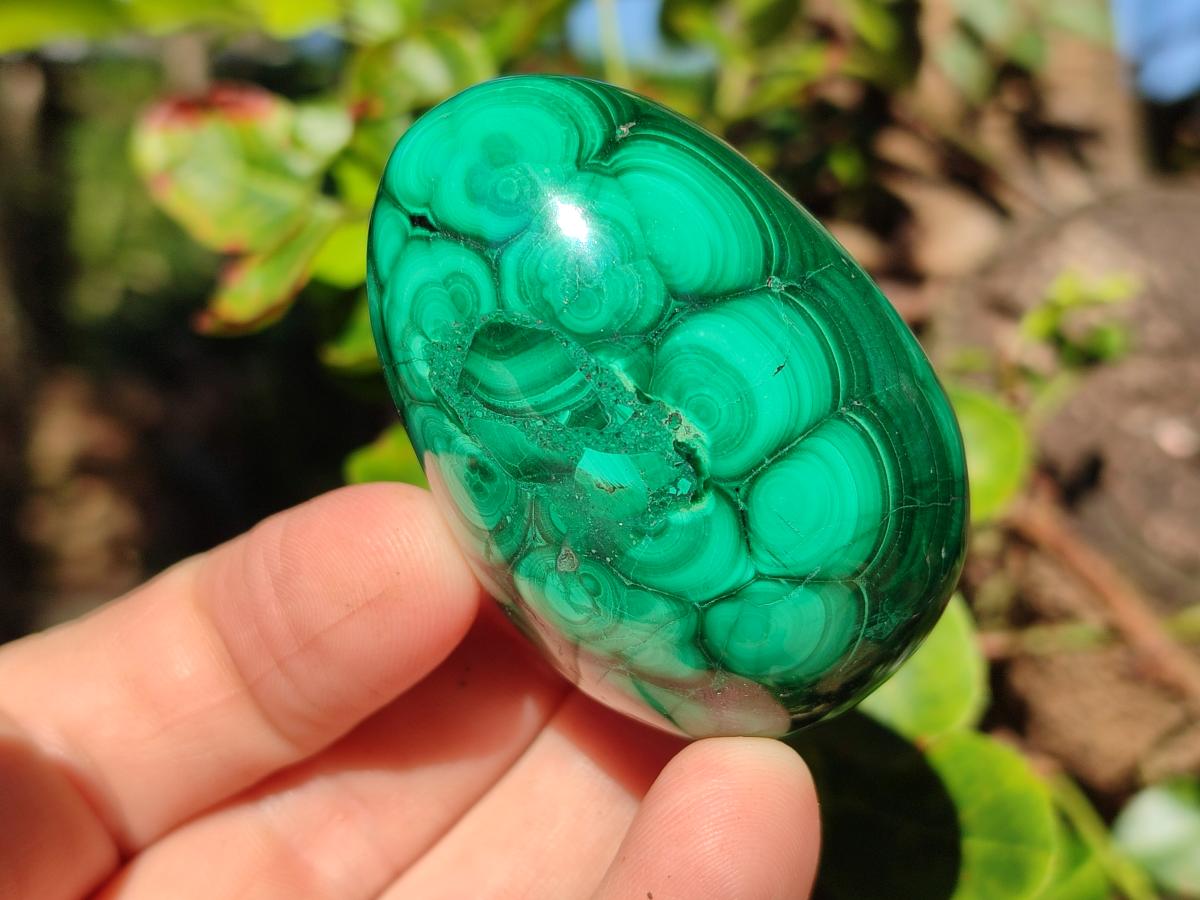 Polished Flower Banded Malachite Gemstone Eggs x 6 From Congo - Toprock Gemstones and Minerals 