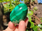 Polished Flower Banded Malachite Gemstone Eggs x 6 From Congo - Toprock Gemstones and Minerals 