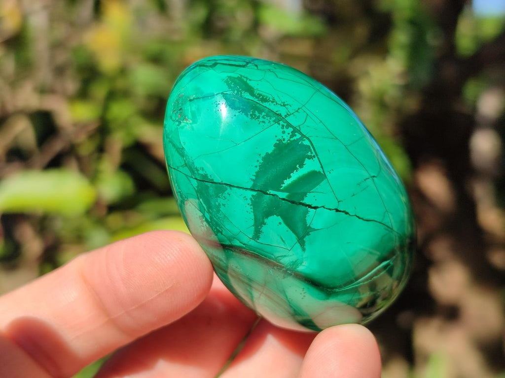 Polished Flower Banded Malachite Gemstone Eggs x 6 From Congo - Toprock Gemstones and Minerals 