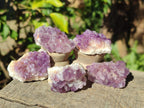 Natural Mini Amethyst Clusters x 35 From Madagascar - Toprock Gemstones and Minerals 
