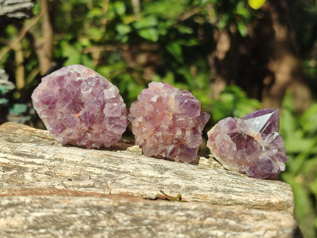 Natural Mini Amethyst Clusters x 35 From Madagascar - Toprock Gemstones and Minerals 