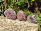 Natural Mini Amethyst Clusters x 35 From Madagascar - Toprock Gemstones and Minerals 