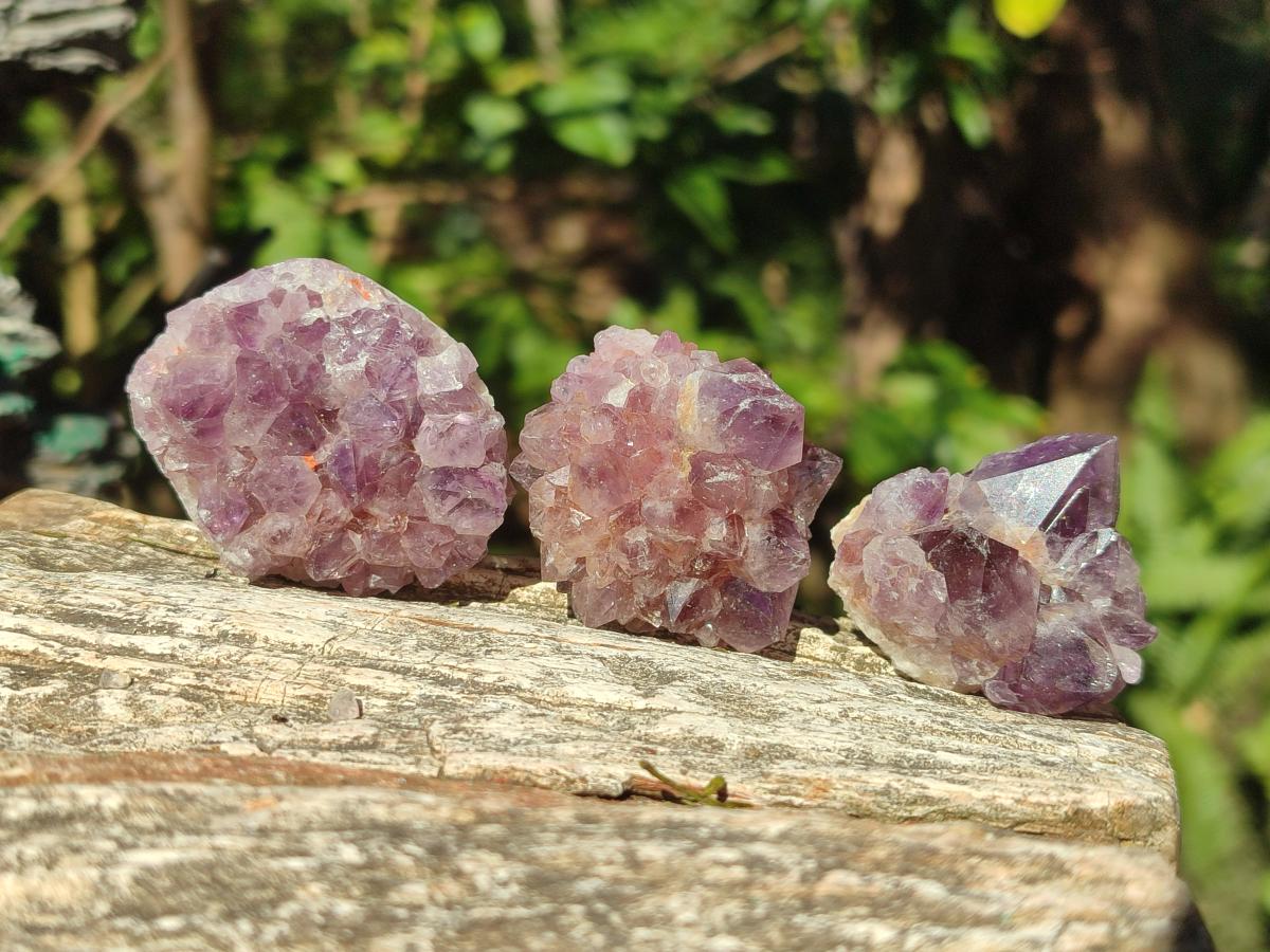 Natural Mini Amethyst Clusters x 35 From Madagascar - Toprock Gemstones and Minerals 