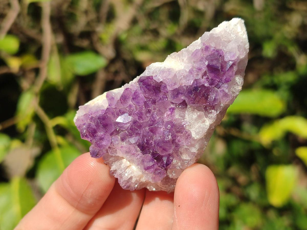 Natural Mini Amethyst Clusters x 35 From Madagascar - Toprock Gemstones and Minerals 