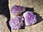 Natural Mini Amethyst Clusters x 35 From Madagascar - Toprock Gemstones and Minerals 
