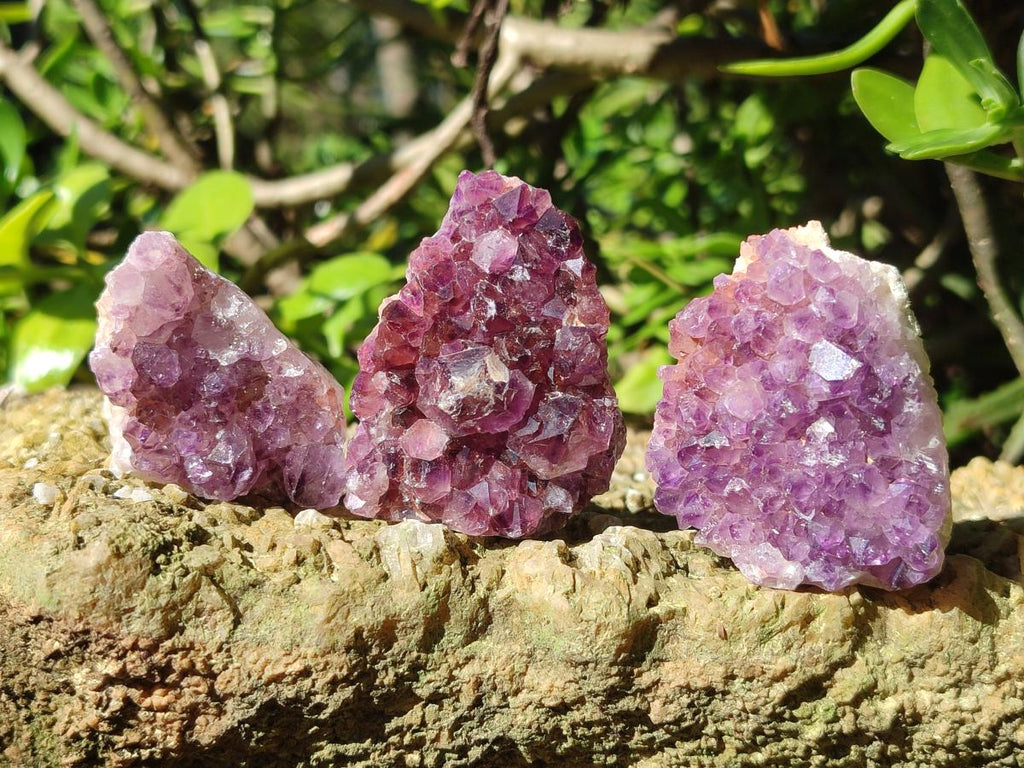 Natural Mini Amethyst Clusters x 35 From Madagascar - Toprock Gemstones and Minerals 
