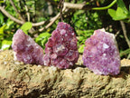 Natural Mini Amethyst Clusters x 35 From Madagascar - Toprock Gemstones and Minerals 