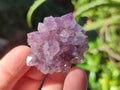 Natural Mini Amethyst Clusters x 35 From Madagascar - Toprock Gemstones and Minerals 