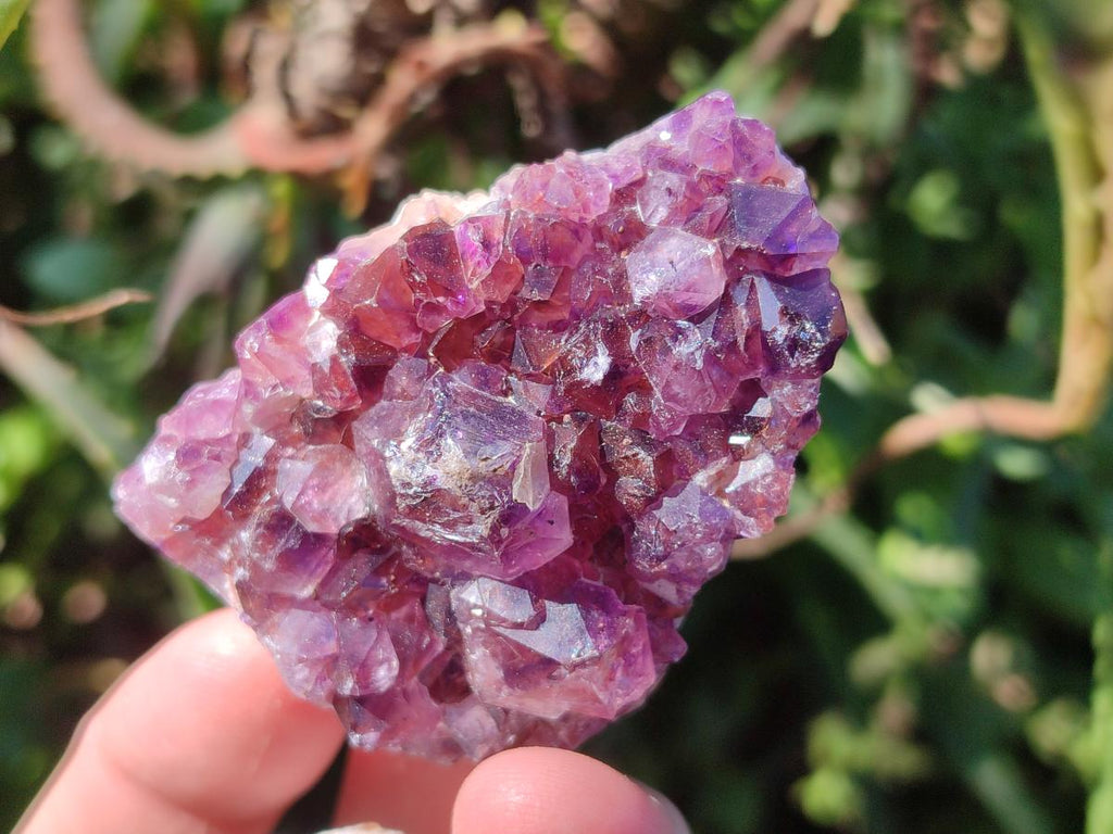 Natural Mini Amethyst Clusters x 35 From Madagascar - Toprock Gemstones and Minerals 