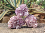 Natural Mini Amethyst Clusters x 35 From Madagascar - Toprock Gemstones and Minerals 