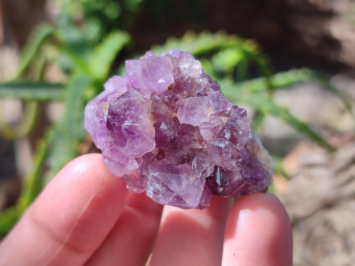 Natural Mini Amethyst Clusters x 35 From Madagascar - Toprock Gemstones and Minerals 