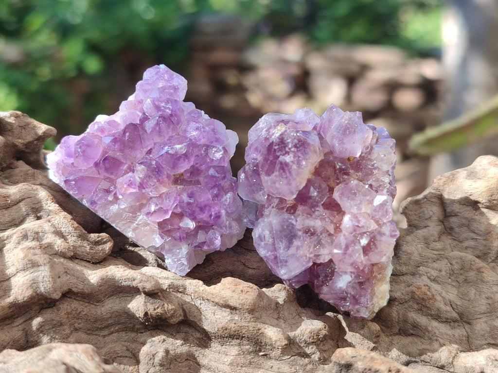 Natural Mini Amethyst Clusters x 35 From Madagascar - Toprock Gemstones and Minerals 
