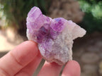 Natural Mini Amethyst Clusters x 35 From Madagascar - Toprock Gemstones and Minerals 