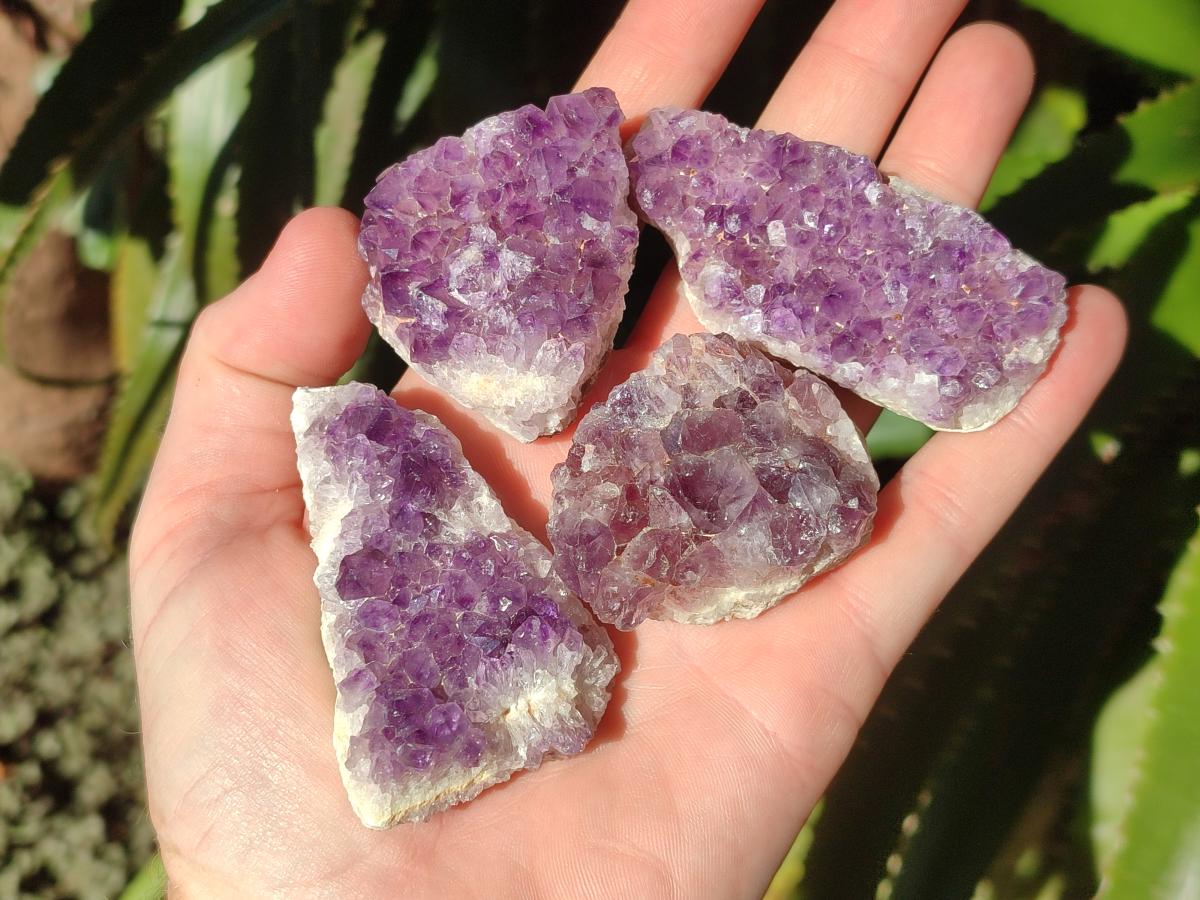 Natural Mini Amethyst Clusters x 35 From Madagascar - Toprock Gemstones and Minerals 