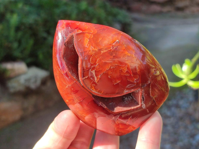 Polished Carnelian Agate Gemstone Flames x 12 From Madagascar - Toprock Gemstones and Minerals 