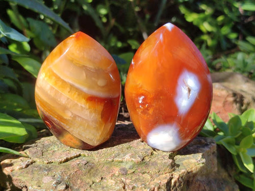 Polished Carnelian Agate Gemstone Flames x 12 From Madagascar - Toprock Gemstones and Minerals 