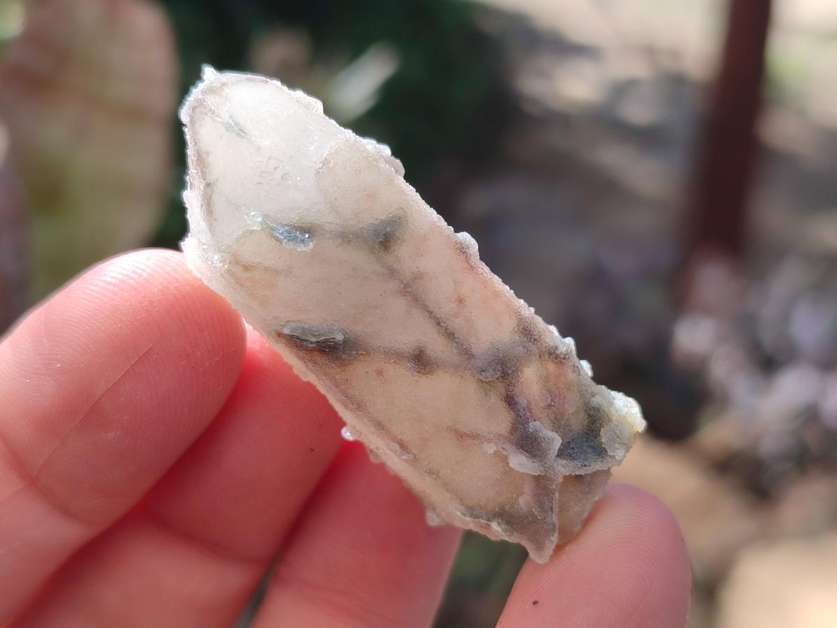 Natural Fairy Spirit Quartz Single Crystals x 70 From Boekenhouthoek, South Africa - Toprock Gemstones and Minerals 