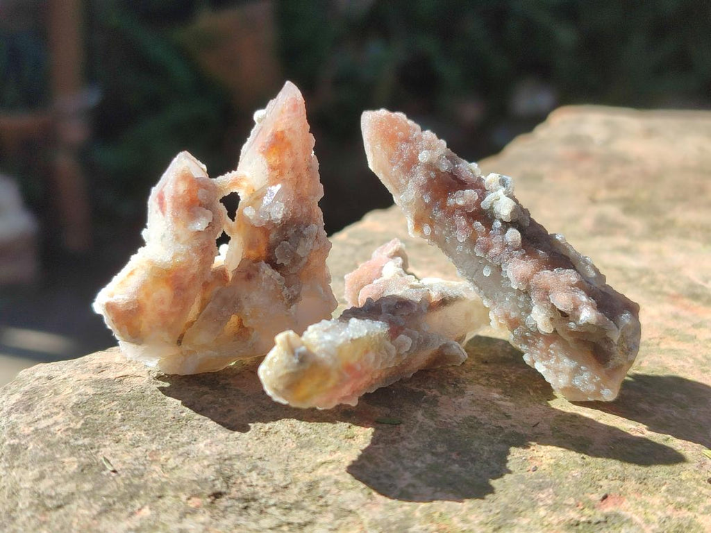 Natural Fairy Spirit Quartz Single Crystals x 70 From Boekenhouthoek, South Africa - Toprock Gemstones and Minerals 