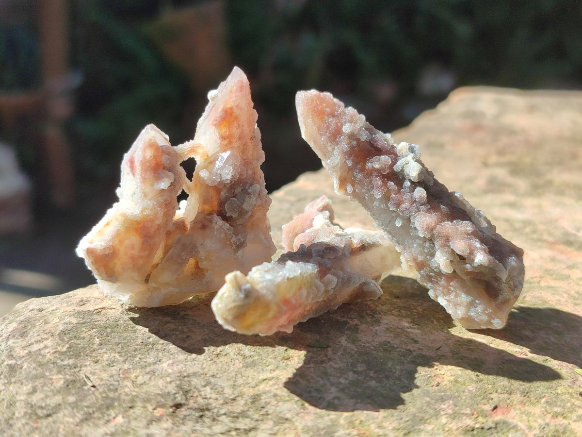 Natural Fairy Spirit Quartz Single Crystals x 70 From Boekenhouthoek, South Africa - Toprock Gemstones and Minerals 