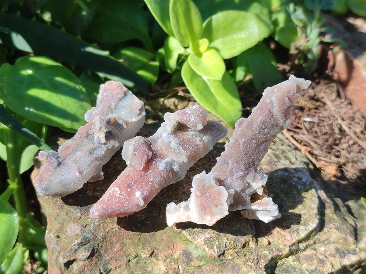 Natural Fairy Spirit Quartz Single Crystals x 70 From Boekenhouthoek, South Africa - Toprock Gemstones and Minerals 