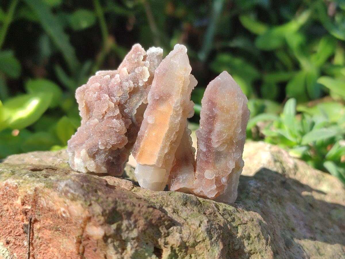 Natural Fairy Spirit Quartz Single Crystals x 70 From Boekenhouthoek, South Africa - Toprock Gemstones and Minerals 