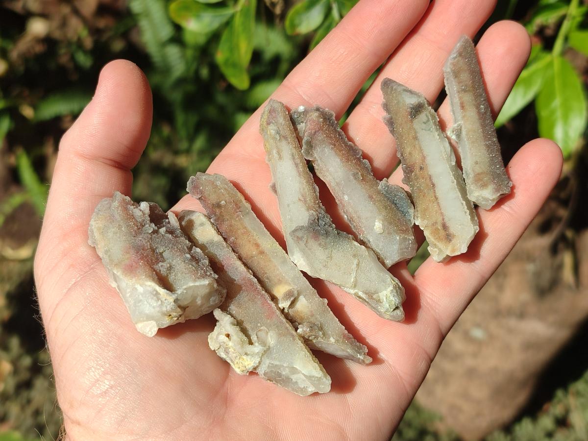 Natural Fairy Spirit Quartz Single Crystals x 70 From Boekenhouthoek, South Africa - Toprock Gemstones and Minerals 