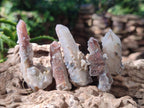 Natural Fairy Spirit Quartz Single Crystals x 70 From Boekenhouthoek, South Africa - Toprock Gemstones and Minerals 