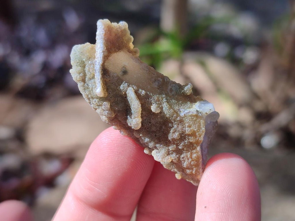Natural Fairy Spirit Quartz Single Crystals x 70 From Boekenhouthoek, South Africa - Toprock Gemstones and Minerals 