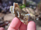 Natural Fairy Spirit Quartz Single Crystals x 70 From Boekenhouthoek, South Africa - Toprock Gemstones and Minerals 