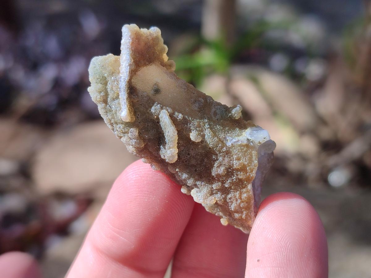 Natural Fairy Spirit Quartz Single Crystals x 70 From Boekenhouthoek, South Africa - Toprock Gemstones and Minerals 