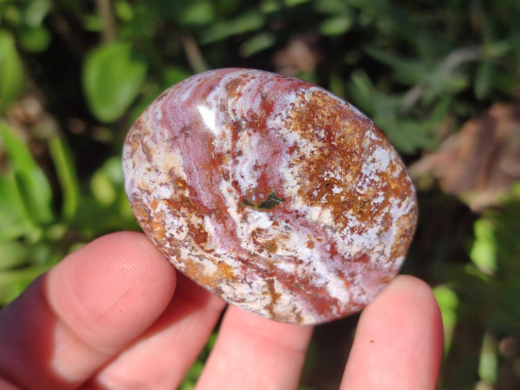 Polished Rare Ocean Jasper Galets x 24 From Northwest Coast, Madagascar - Toprock Gemstones and Minerals 