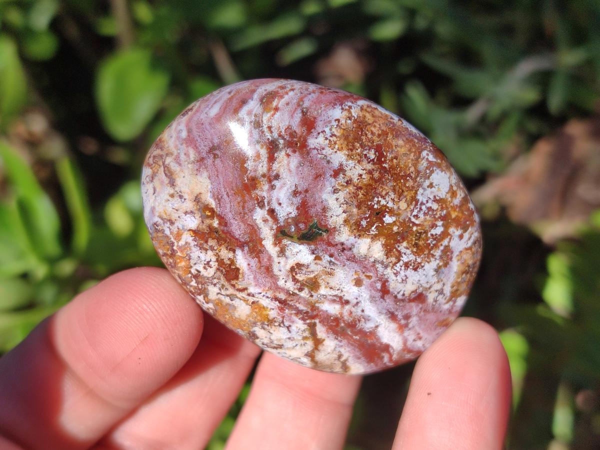 Polished Rare Ocean Jasper Galets x 24 From Northwest Coast, Madagascar - Toprock Gemstones and Minerals 