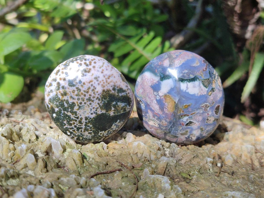 Polished Rare Ocean Jasper Galets x 24 From Northwest Coast, Madagascar - Toprock Gemstones and Minerals 