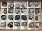 Polished Rare Ocean Jasper Galets x 24 From Northwest Coast, Madagascar - Toprock Gemstones and Minerals 