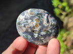 Polished Rare Ocean Jasper Galets x 24 From Northwest Coast, Madagascar - Toprock Gemstones and Minerals 