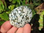 Polished Rare Ocean Jasper Galets x 24 From Northwest Coast, Madagascar - Toprock Gemstones and Minerals 