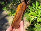 Polished Golden Tigers Eye Display Crystals x 4 From Prieska, South Africa - Toprock Gemstones and Minerals 