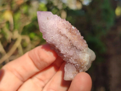 Natural Spirit Amethyst and Spirit Ametrine Clusters x 20 From Boekenhouthoek, South Africa - Toprock Gemstones and Minerals 
