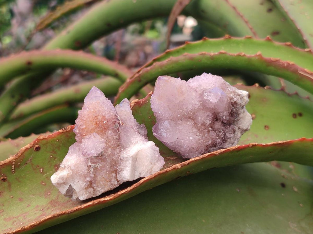 Natural Spirit Amethyst and Spirit Ametrine Clusters x 20 From Boekenhouthoek, South Africa - Toprock Gemstones and Minerals 
