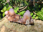 Natural Spirit Amethyst and Spirit Ametrine Clusters x 20 From Boekenhouthoek, South Africa - Toprock Gemstones and Minerals 