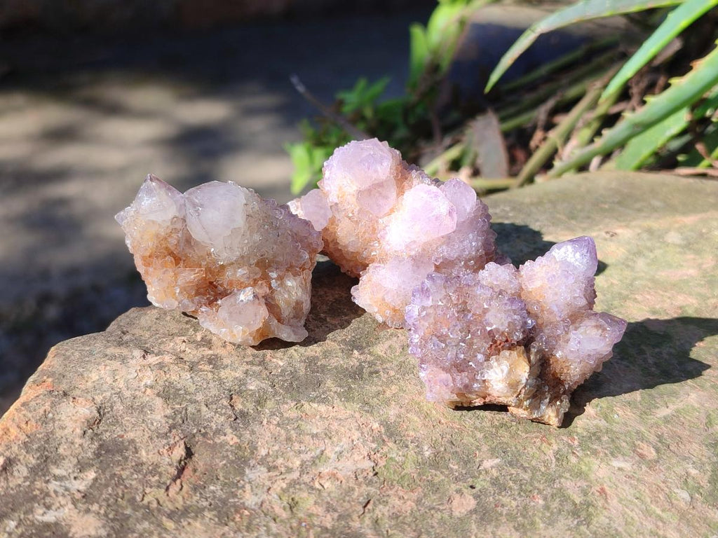 Natural Spirit Amethyst and Spirit Ametrine Clusters x 20 From Boekenhouthoek, South Africa - Toprock Gemstones and Minerals 