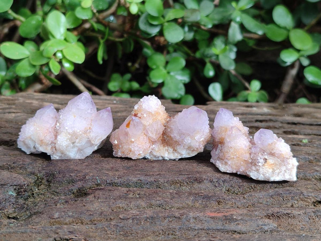 Natural Spirit Amethyst and Spirit Ametrine Clusters x 20 From Boekenhouthoek, South Africa - Toprock Gemstones and Minerals 
