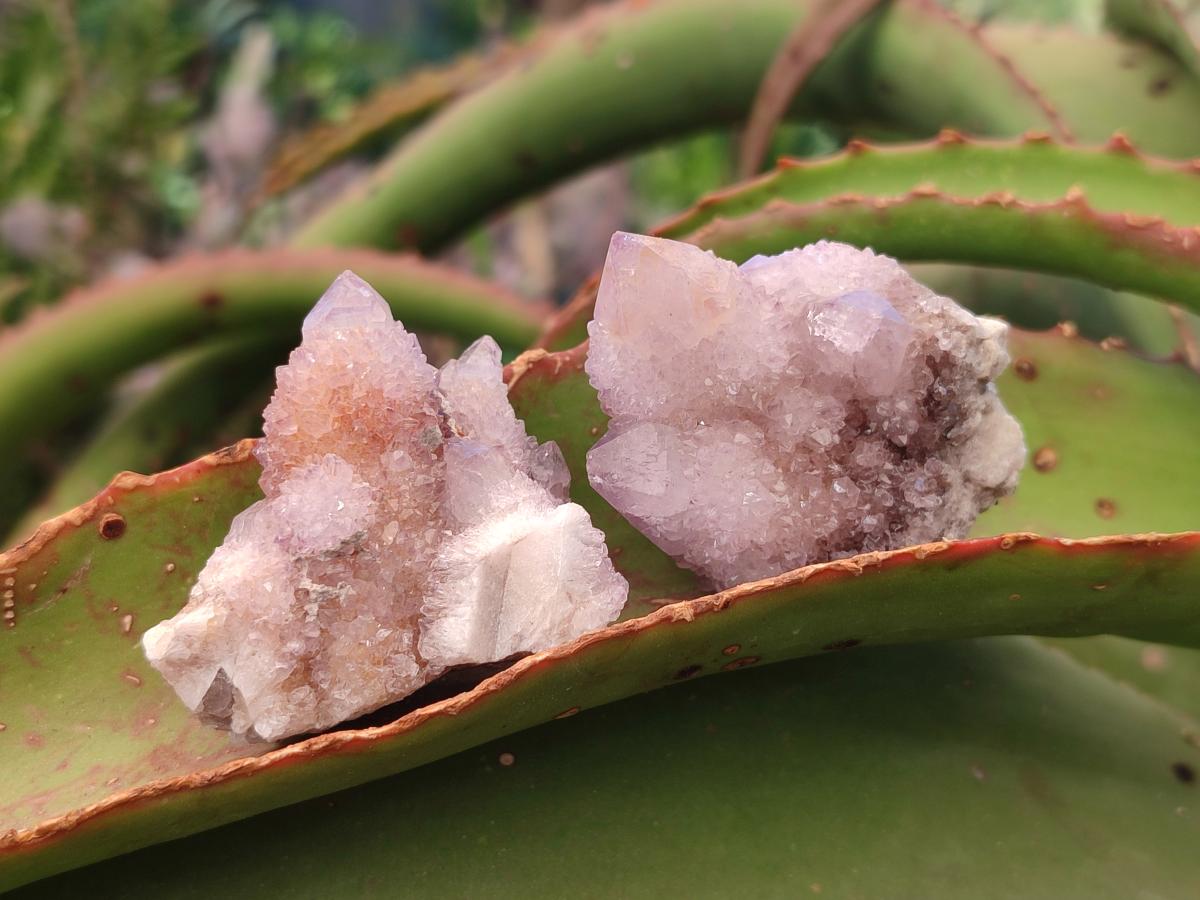 Natural Spirit Amethyst and Spirit Ametrine Clusters x 20 From Boekenhouthoek, South Africa - Toprock Gemstones and Minerals 