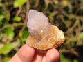 Natural Spirit Amethyst and Spirit Ametrine Clusters x 20 From Boekenhouthoek, South Africa - Toprock Gemstones and Minerals 