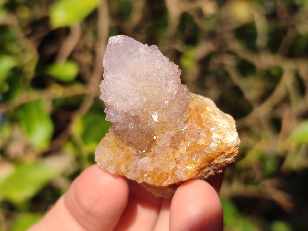 Natural Spirit Amethyst and Spirit Ametrine Clusters x 20 From Boekenhouthoek, South Africa - Toprock Gemstones and Minerals 