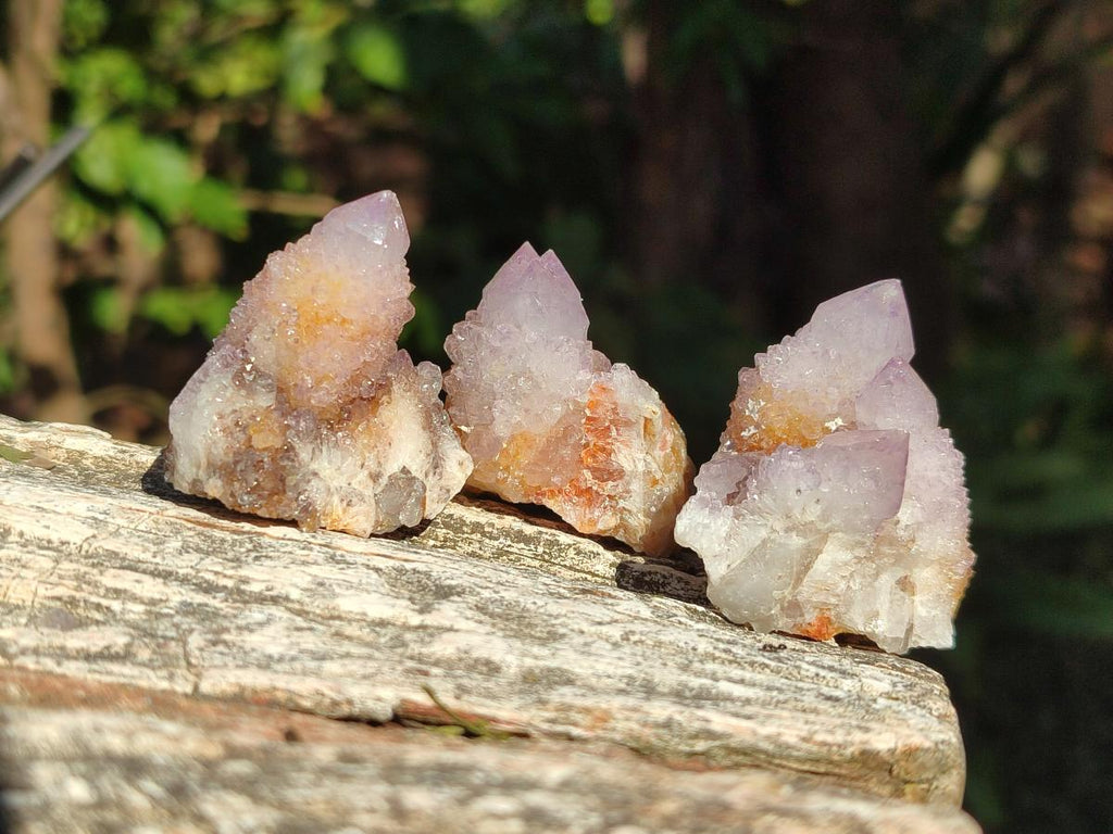 Natural Spirit Amethyst and Spirit Ametrine Clusters x 20 From Boekenhouthoek, South Africa - Toprock Gemstones and Minerals 