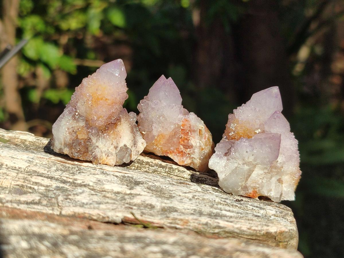 Natural Spirit Amethyst and Spirit Ametrine Clusters x 20 From Boekenhouthoek, South Africa - Toprock Gemstones and Minerals 