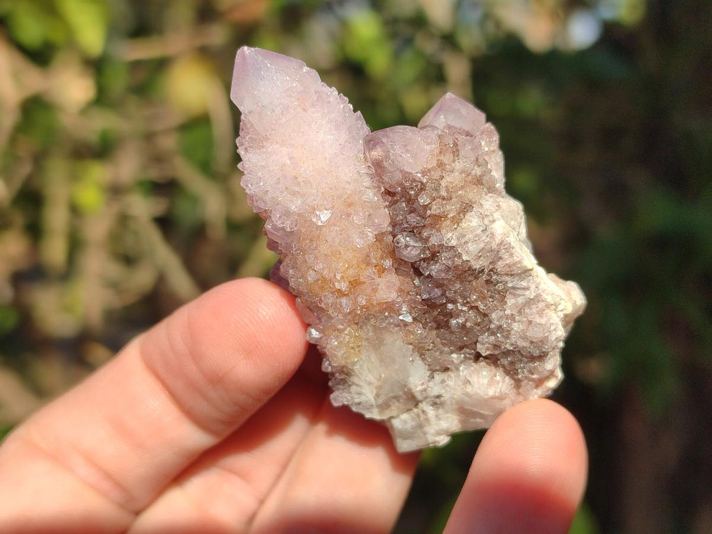 Natural Spirit Amethyst and Spirit Ametrine Clusters x 20 From Boekenhouthoek, South Africa - Toprock Gemstones and Minerals 